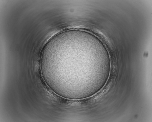 X0000100231361200806131327