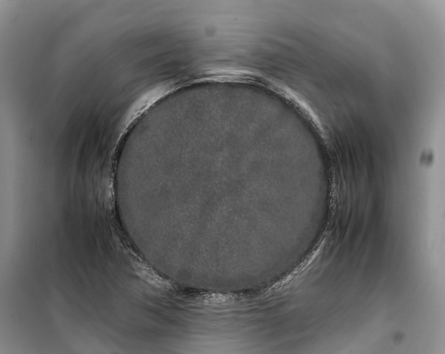 X0000100231362200806131327