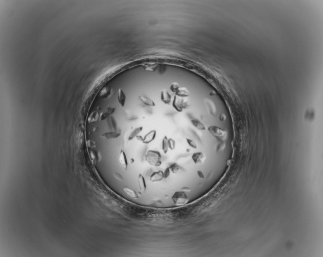 X0000100231363200806131327