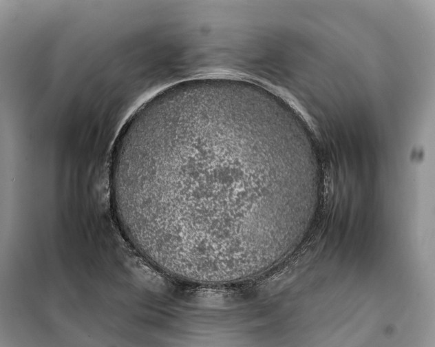 X0000100231364200806131327