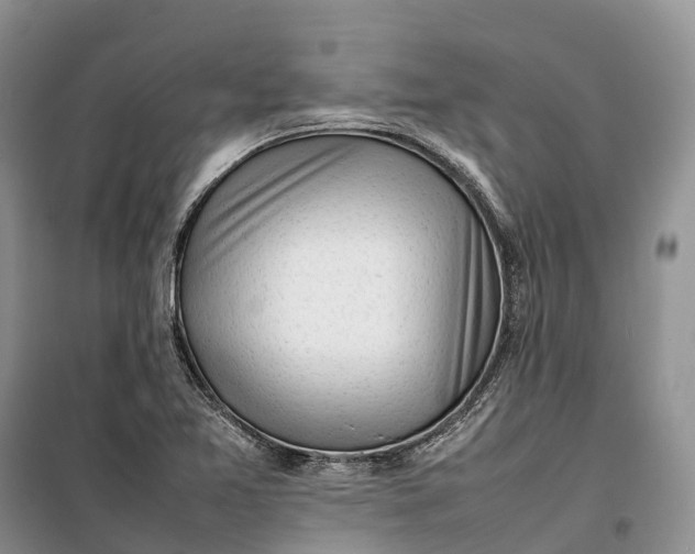 X0000100231365200806131327