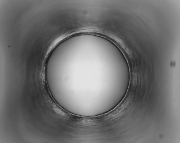 X0000100231366200806131327