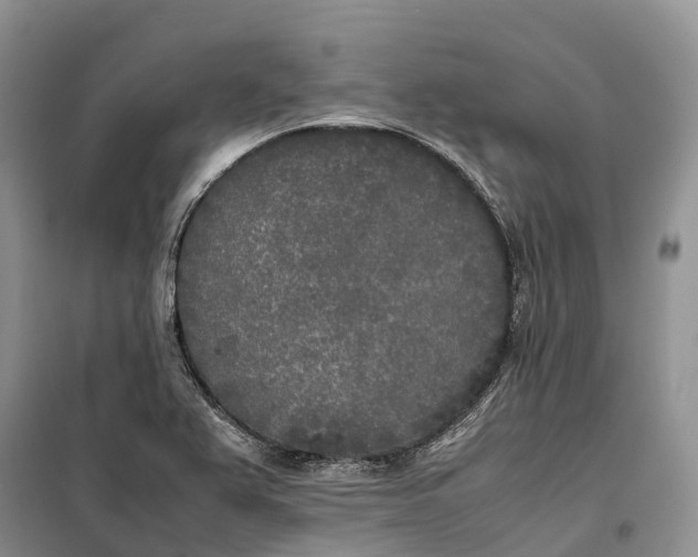 X0000100231367200806131327