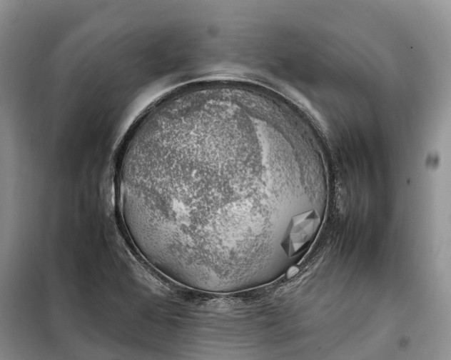 X0000100231368200806131327