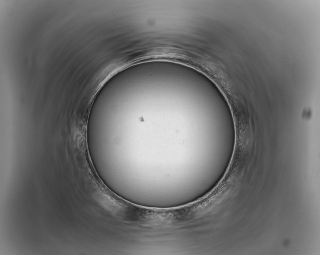 X0000100231369200806131327