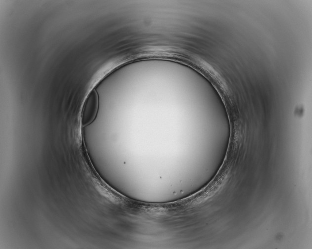 X0000100231370200806131327