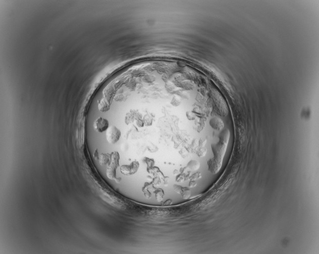 X0000100231371200806131327