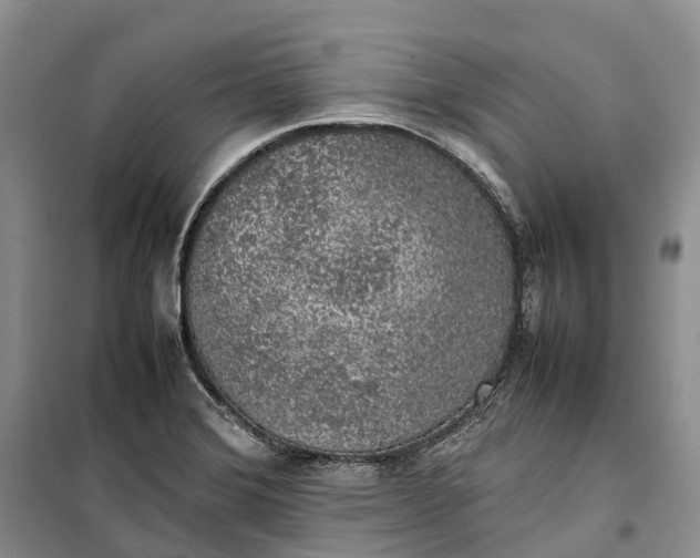 X0000100231372200806131327