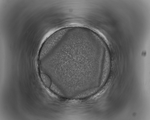 X0000100231373200806131327