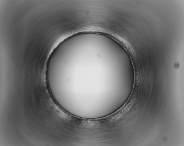 X0000100231374200806131327