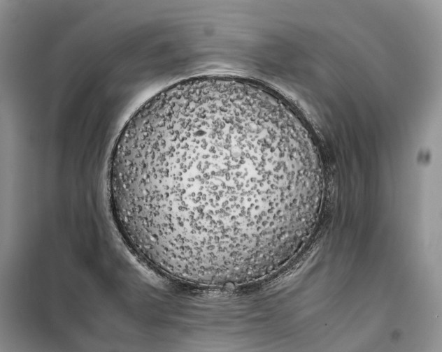 X0000100231375200806131327