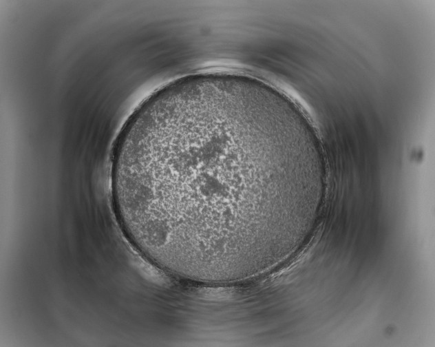 X0000100231376200806131327