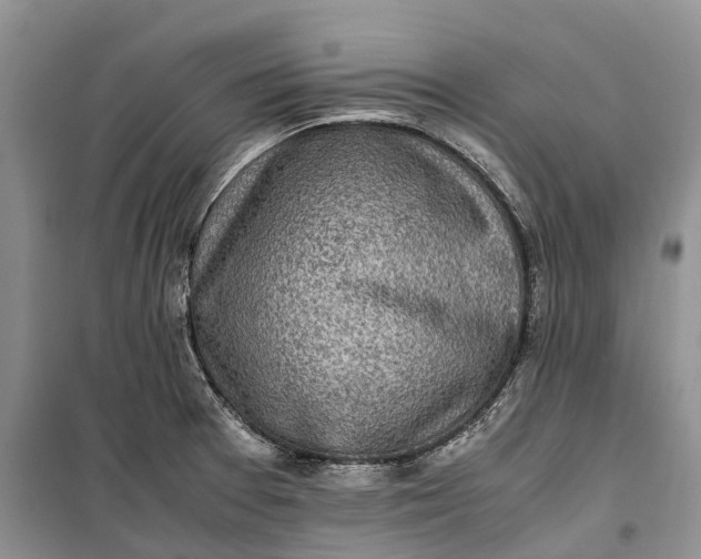 X0000100231377200806131327