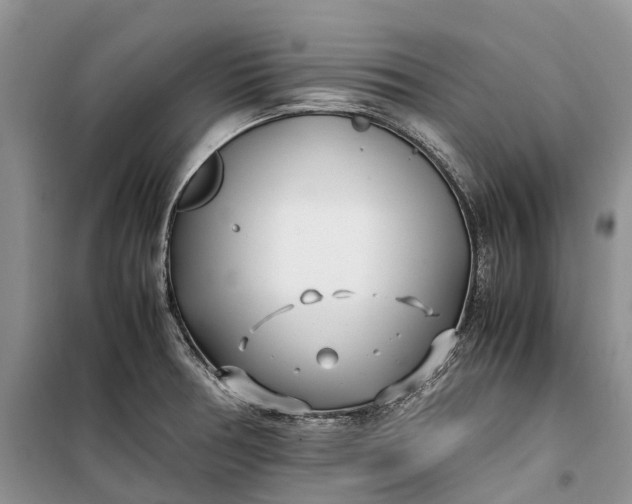 X0000100231378200806131327