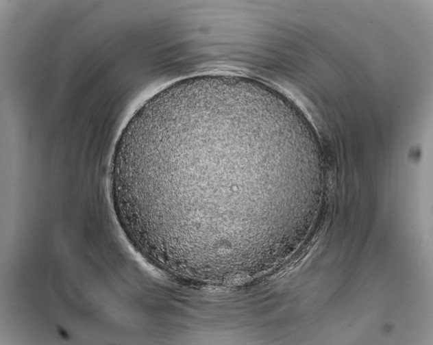 X0000100231379200806131327