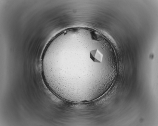 X0000100231380200806131327