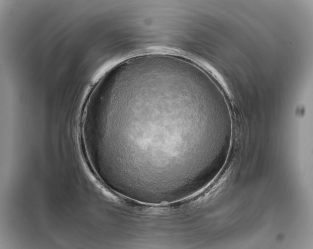 X0000100231381200806131327