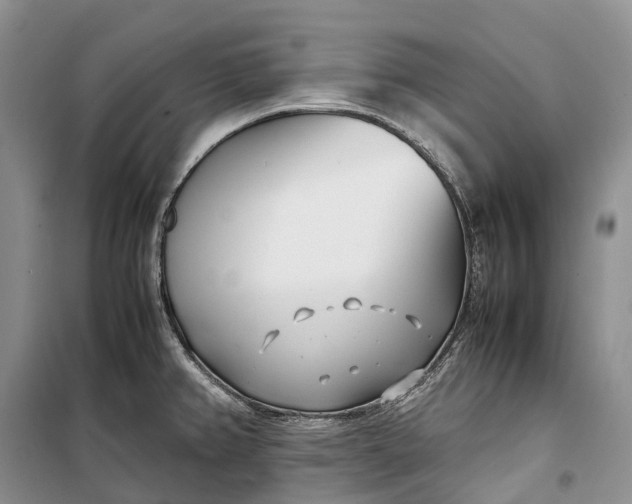 X0000100231382200806131327