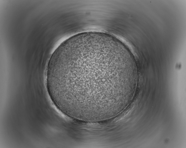 X0000100231383200806131327