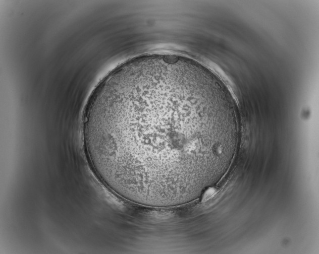 X0000100231384200806131327