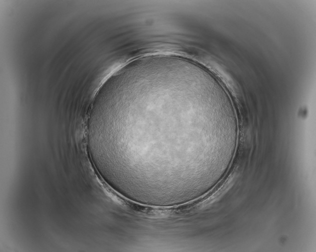 X0000100231385200806131327