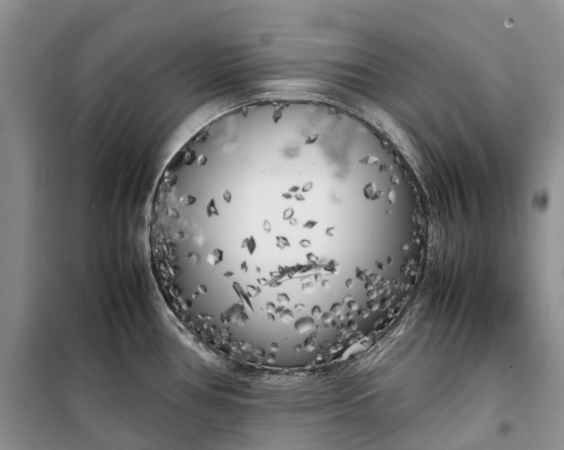 X0000100231386200806131327