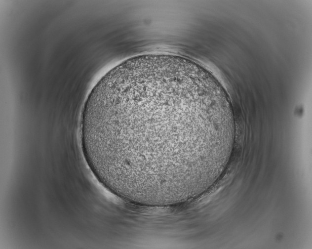 X0000100231387200806131327