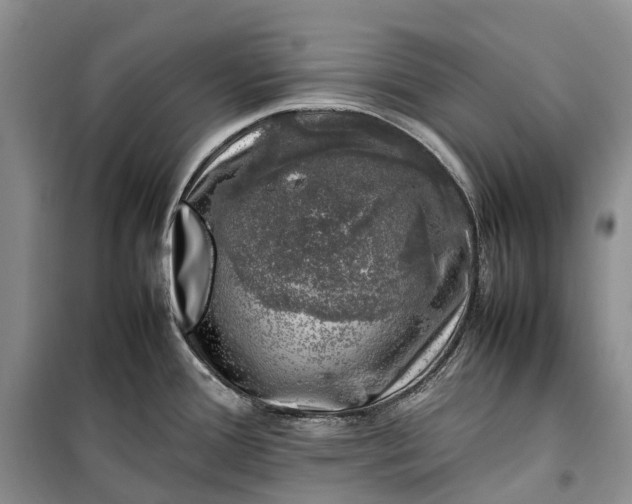 X0000100231388200806131327