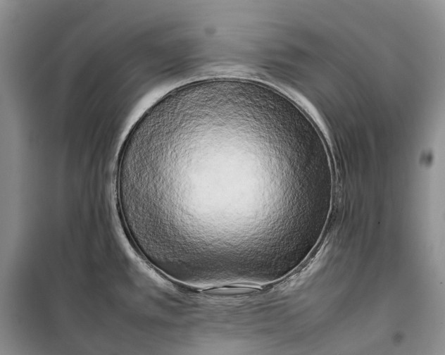 X0000100231389200806131327