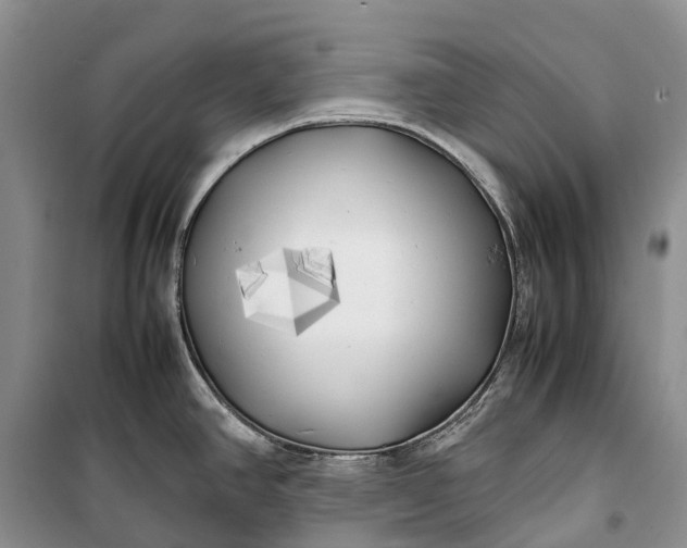 X0000100231390200806131326