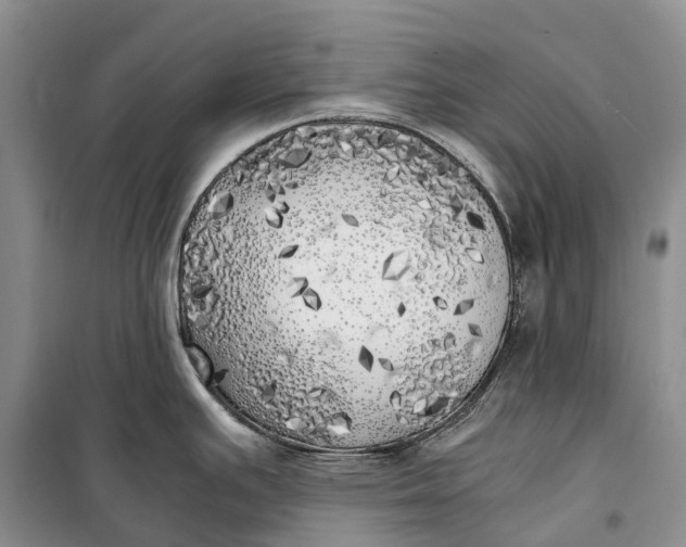 X0000100231391200806131326