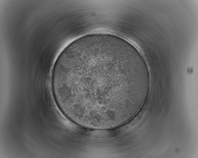 X0000100231392200806131326