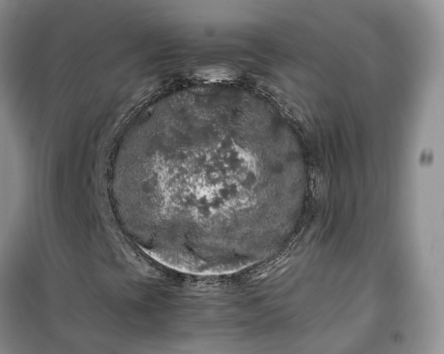 X0000100231393200806131326