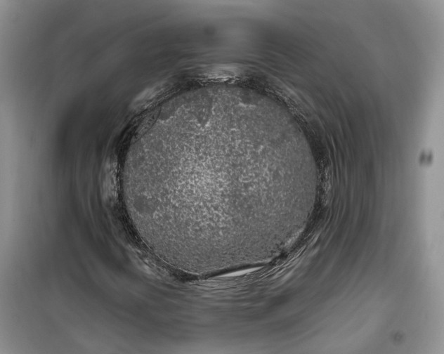 X0000100231394200806131326