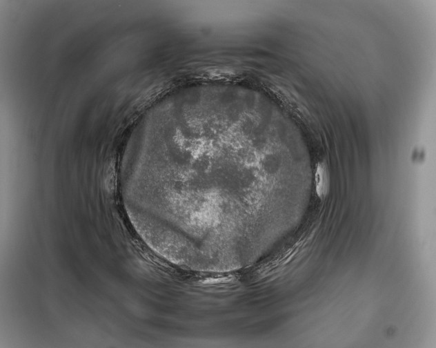 X0000100231395200806131326