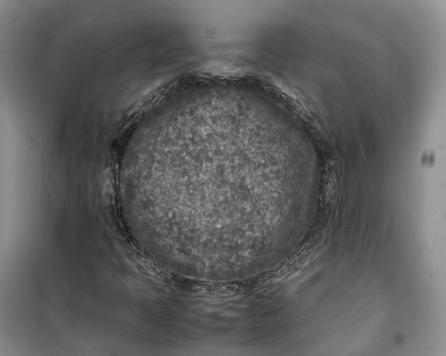 X0000100231397200806131326