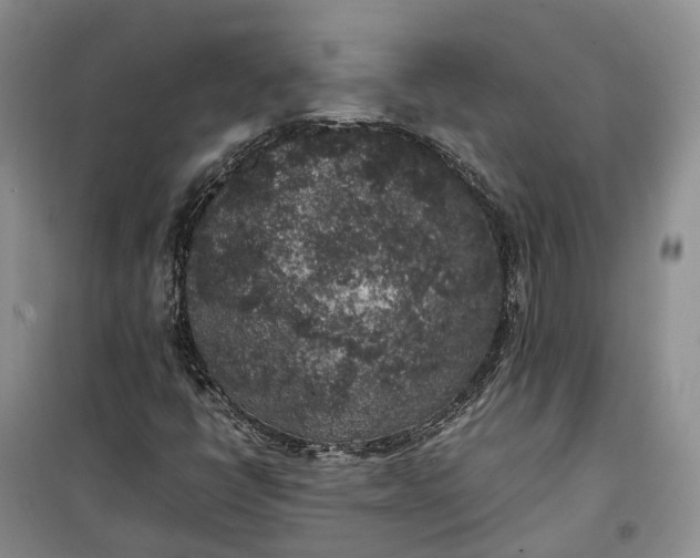 X0000100231398200806131326