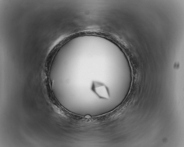 X0000100231400200806131326