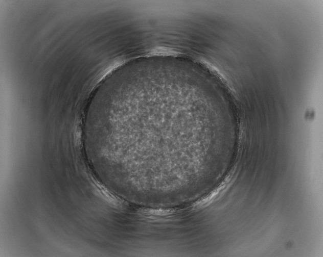 X0000100231401200806131326