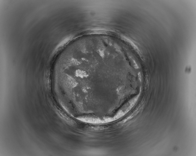 X0000100231403200806131326