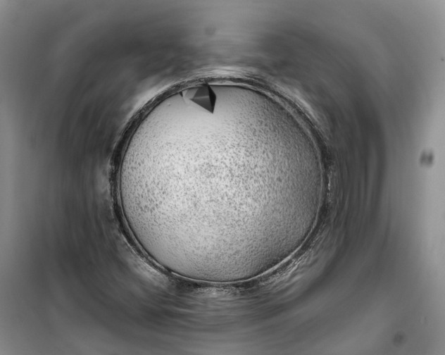 X0000100231404200806131326