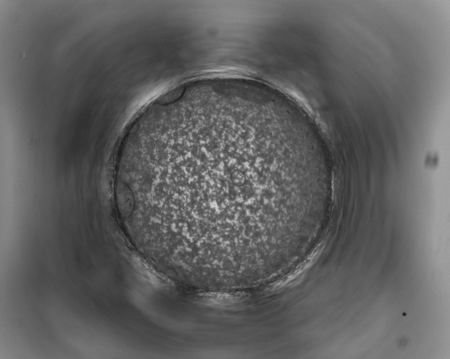 X0000100231405200806131326