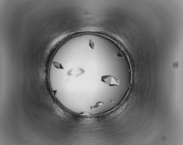 X0000100231406200806131326