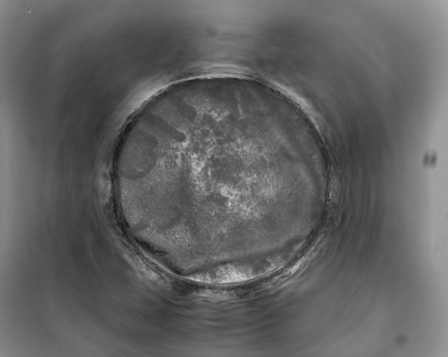 X0000100231407200806131326