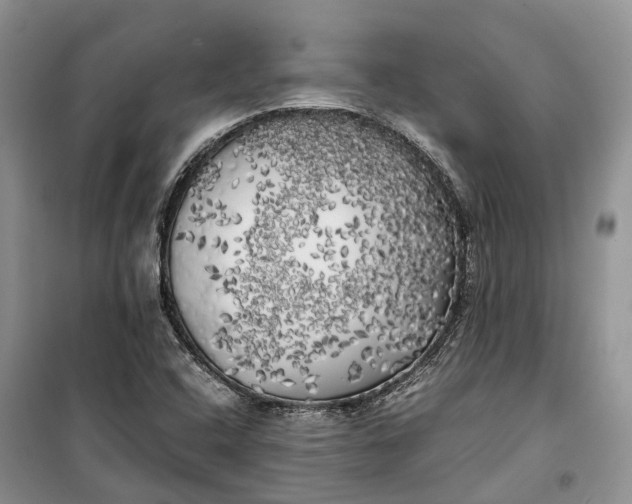 X0000100231408200806131326