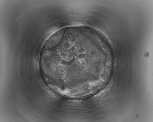 X0000100231409200806131326