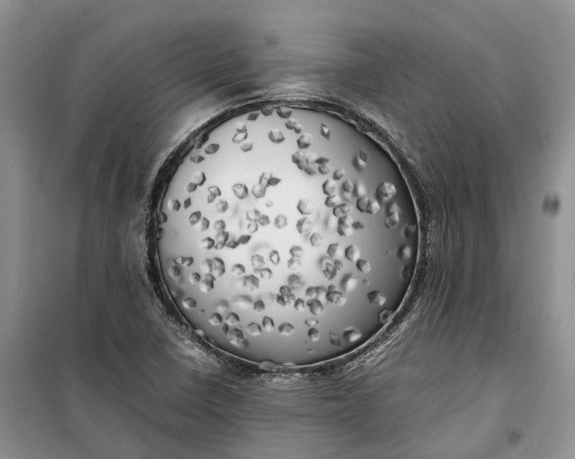 X0000100231410200806131326