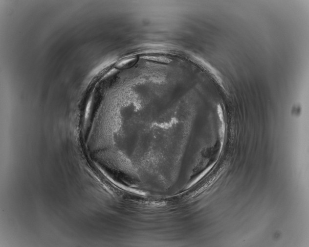 X0000100231411200806131326