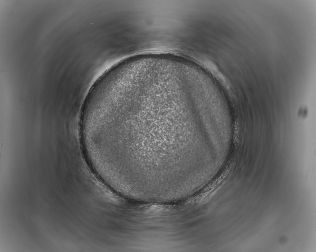 X0000100231412200806131326