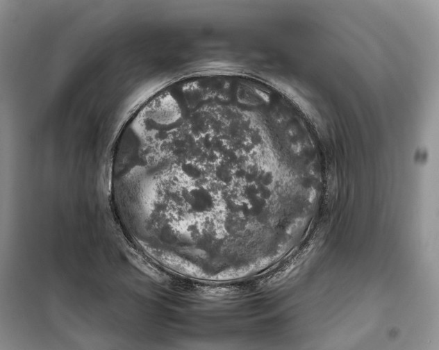 X0000100231413200806131326